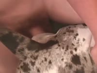 Naughty guy has sex with a dog and creampies it